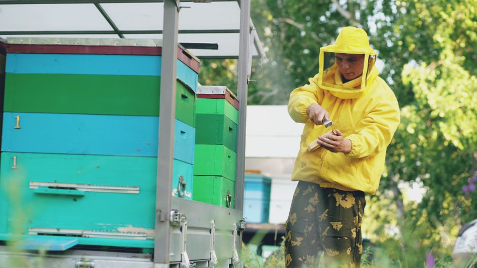 Detailed workflow and dashboard interface for countries where hive micro alternatives work 2026 guide