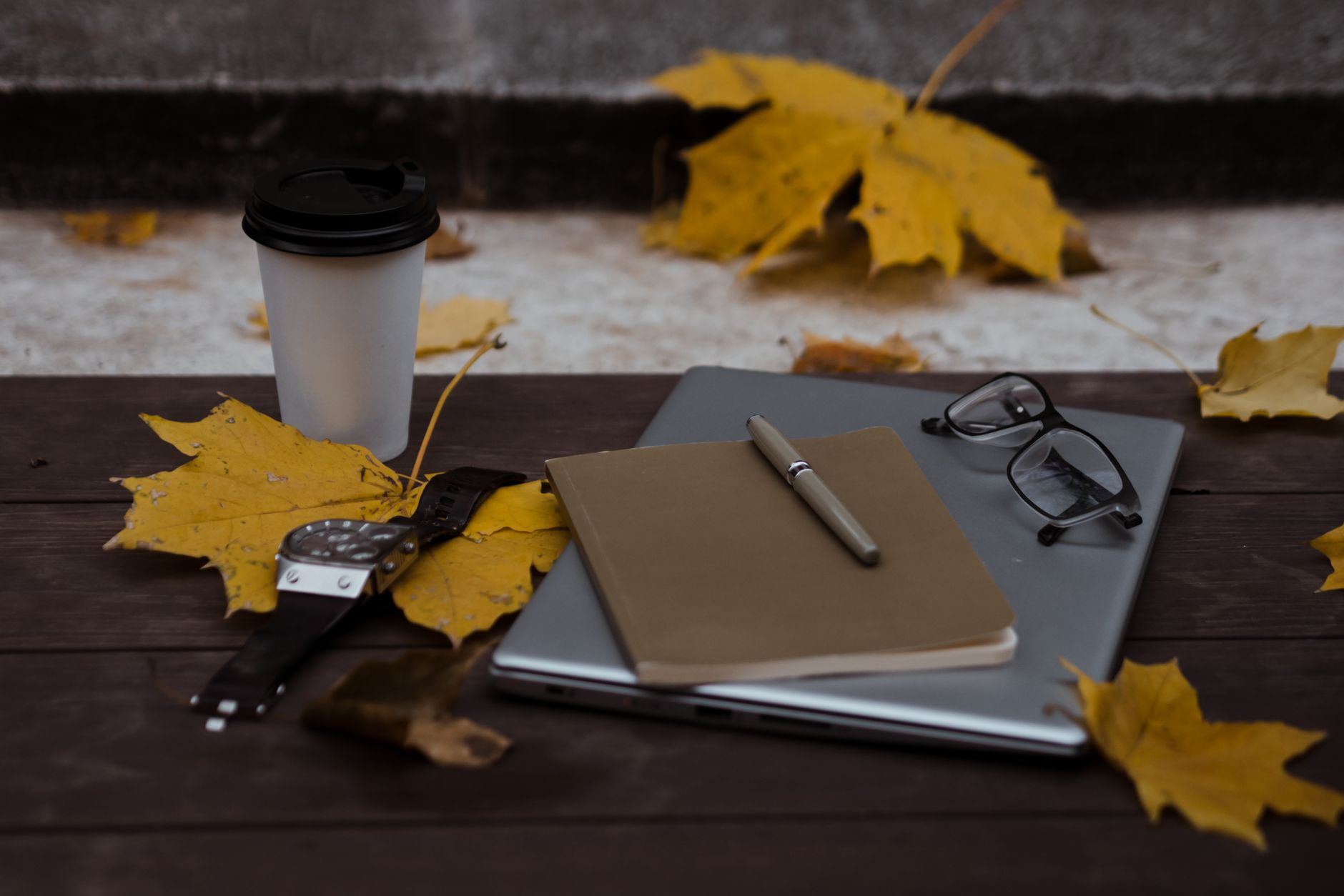 Featured image for How to Start Freelancing With No Experience in 2026