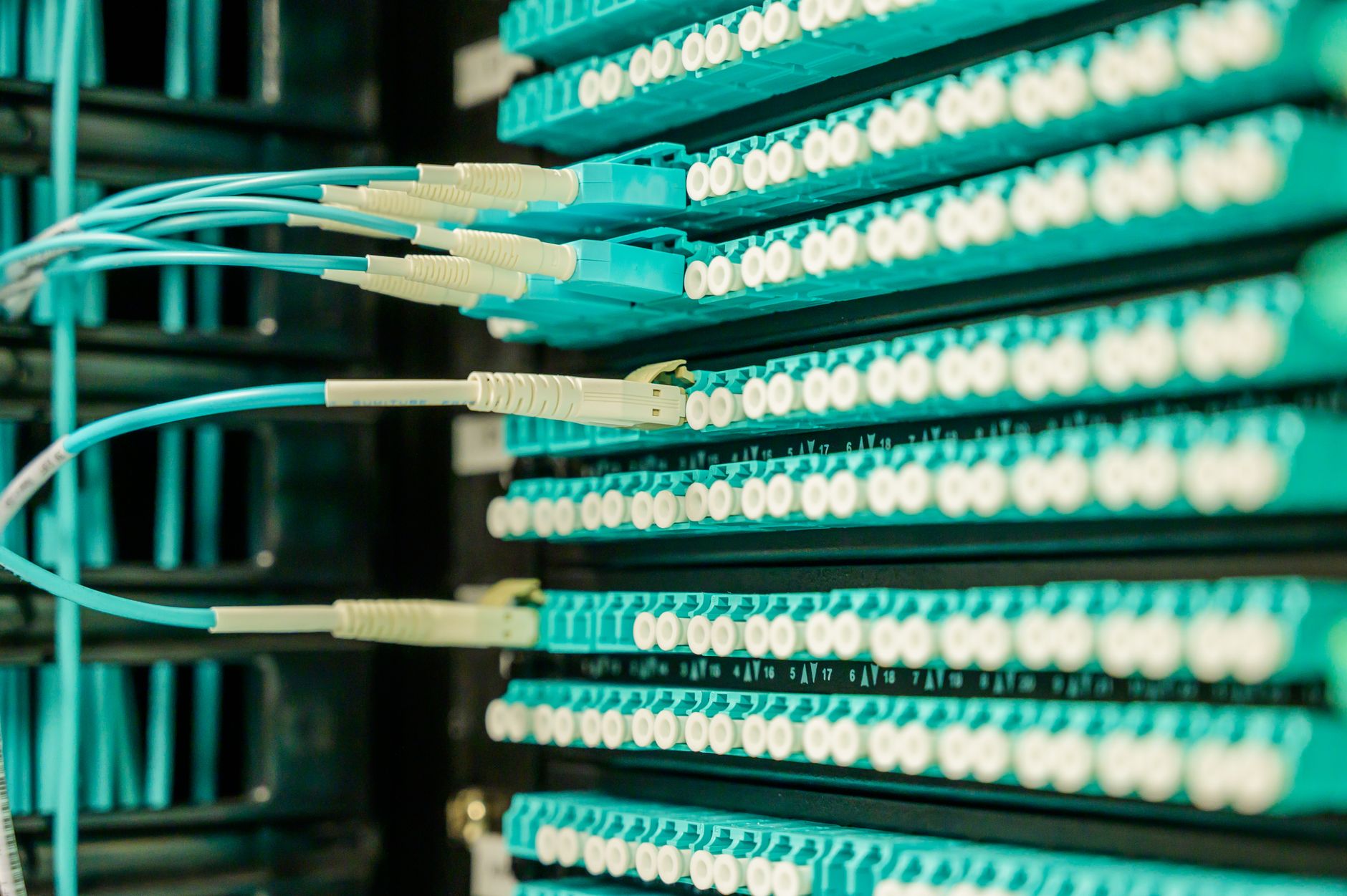 LiteSpeed Cache vs WP Rocket in 2026: Which Speeds Up WordPress More? – featured image